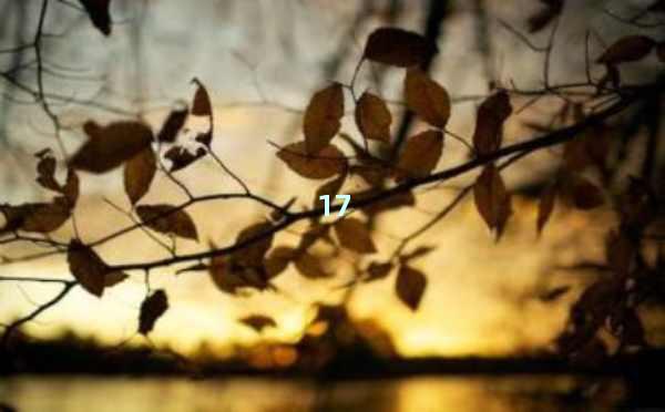 AI段落文章：颠覆传统写作的全新方式