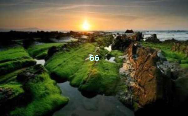 AI智能生成文章是原创吗？