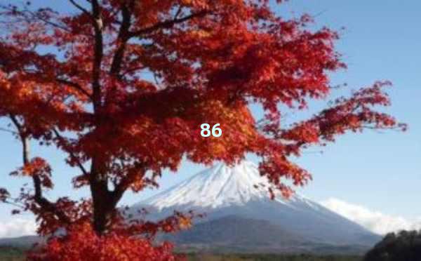 AI生成文章可以当作原创发布吗？内容创作新趋势